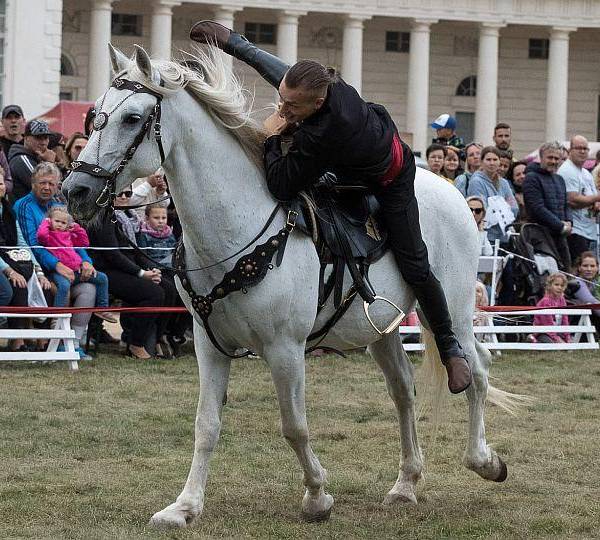 EquiRadio.cz